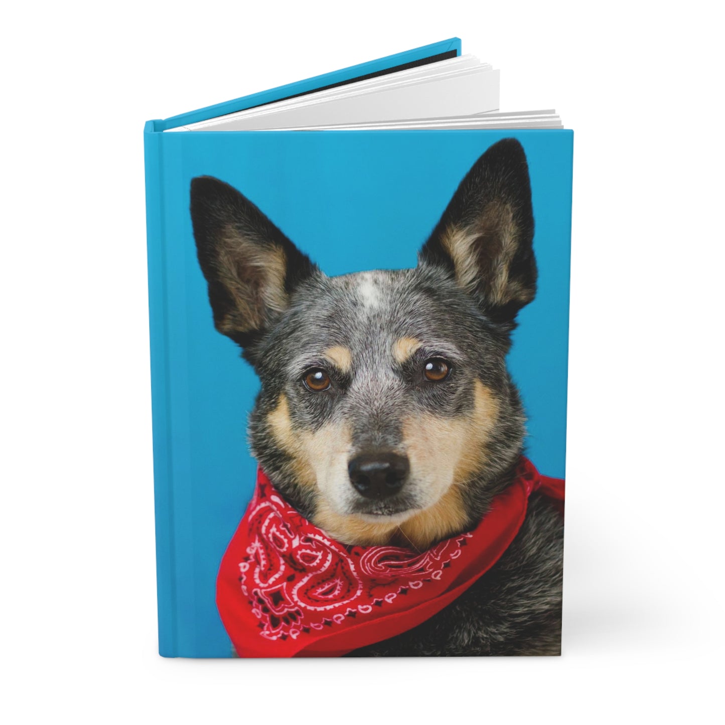 Blue Heeler Notebook