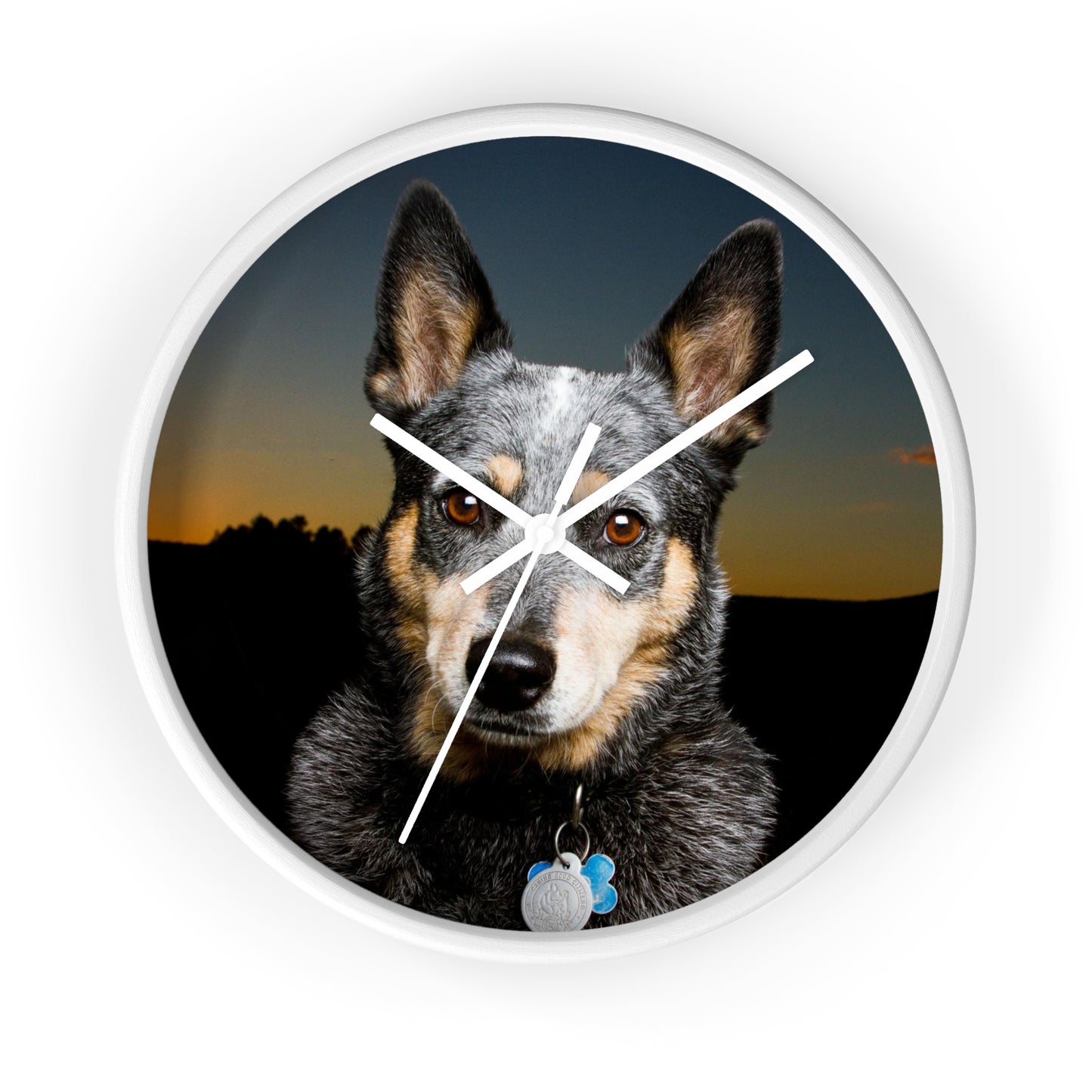 Blue Heeler Wall Clock Timeless Elegance for Dog Lovers' Spaces