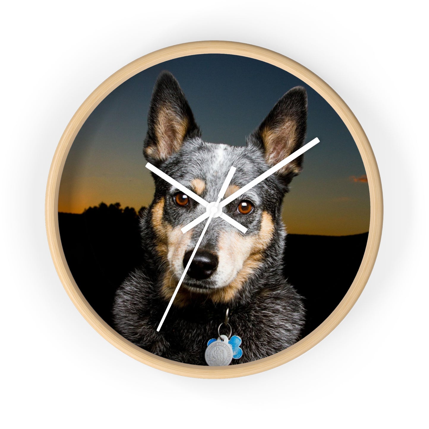 Blue Heeler Wall Clock Timeless Elegance for Dog Lovers' Spaces