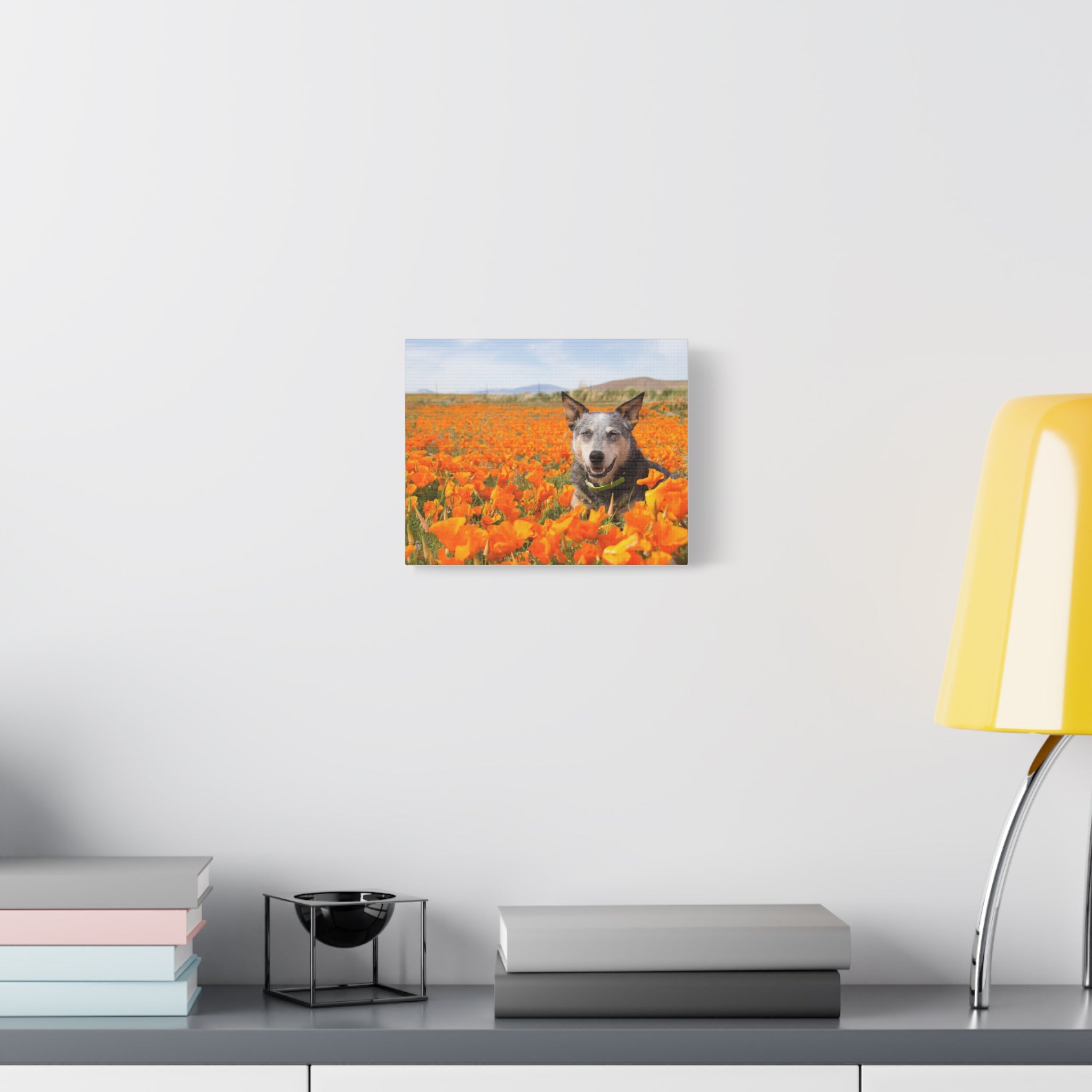 Australian Cattle Dog in Nature Poppy Field Matte Canvas