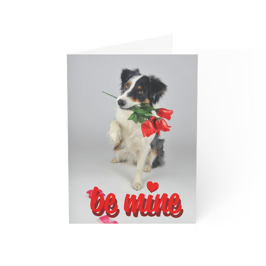 Be Mine Valentine's Day Australian Shepherd Blank Greeting Cards (1, 10, 30, and 50pcs)