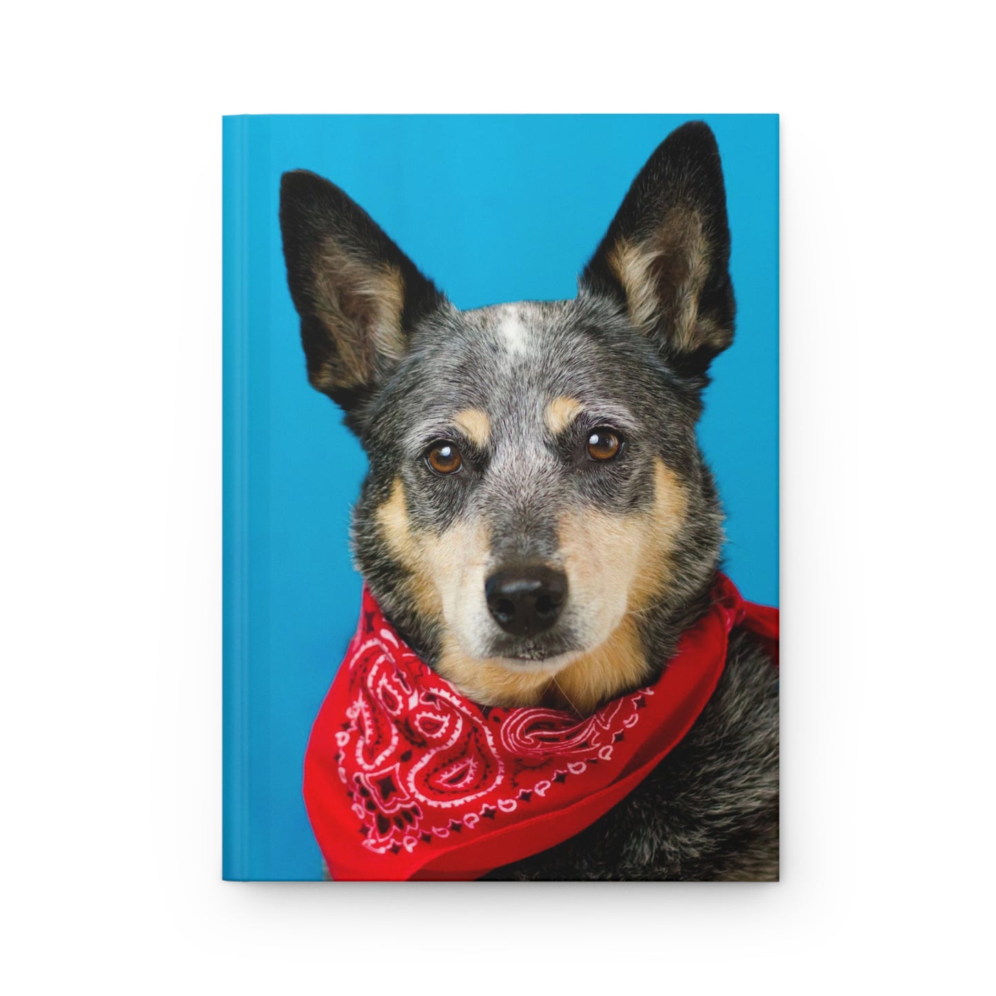 Blue Heeler Notebook