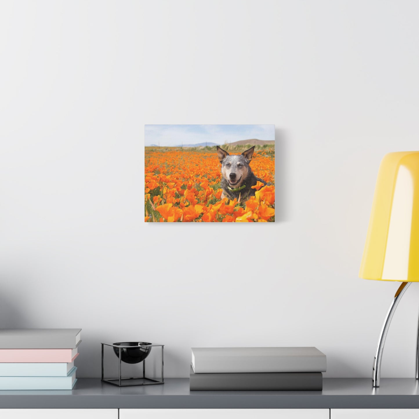 Australian Cattle Dog in Nature Poppy Field Matte Canvas