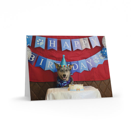 Blue Heeler Birthday Greeting Card - Adorable Canine Celebrating with Cake and 'Happy Birthday' Banner (8, 16, and 24 pcs - Blank)