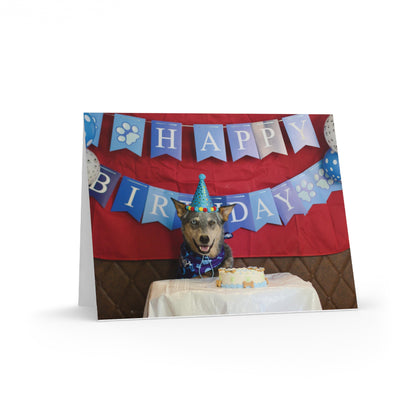 Blue Heeler Birthday Greeting Card - Adorable Canine Celebrating with Cake and 'Happy Birthday' Banner (8, 16, and 24 pcs - Blank)