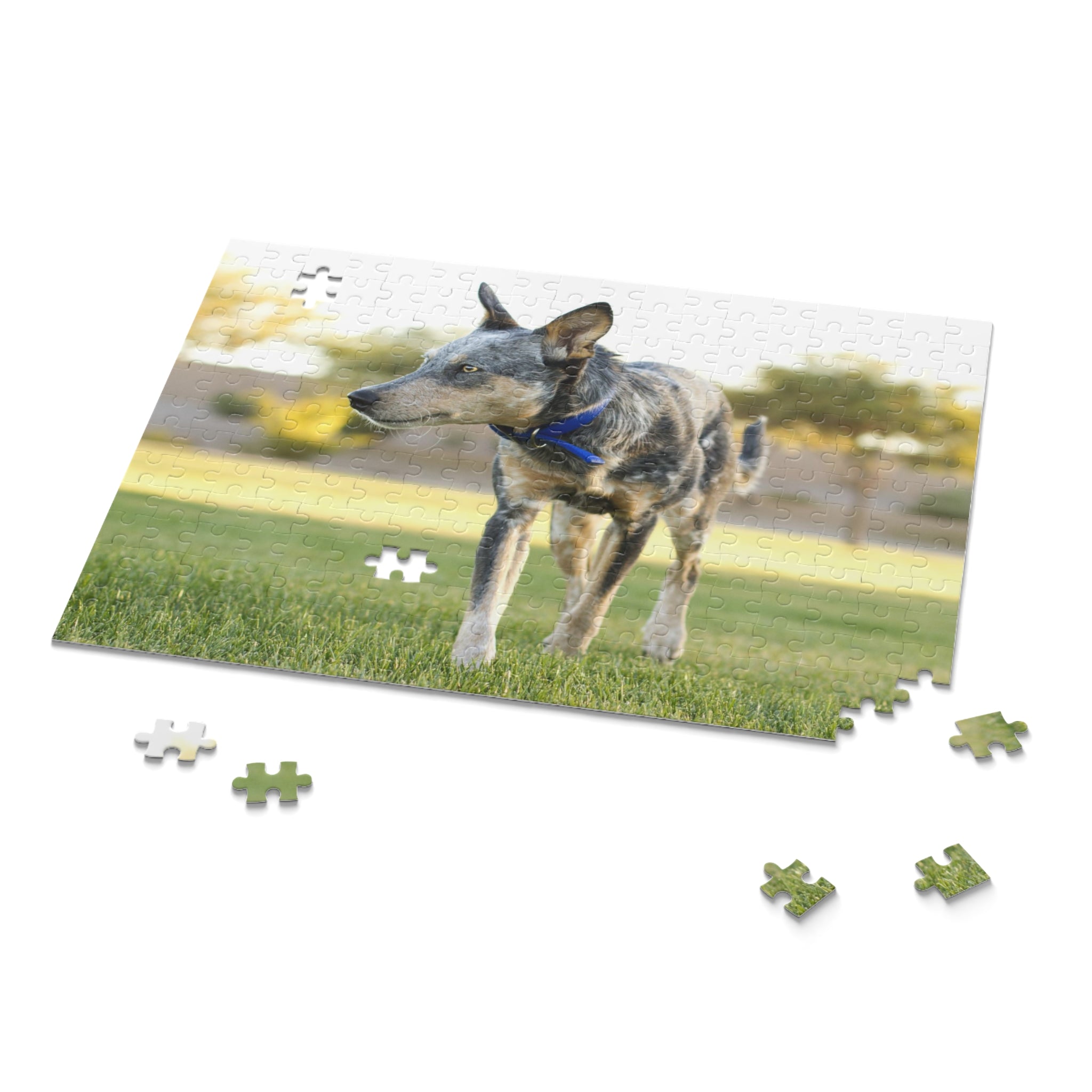 Australian Cattle Dog Puzzle (120, 252, 500-Piece)