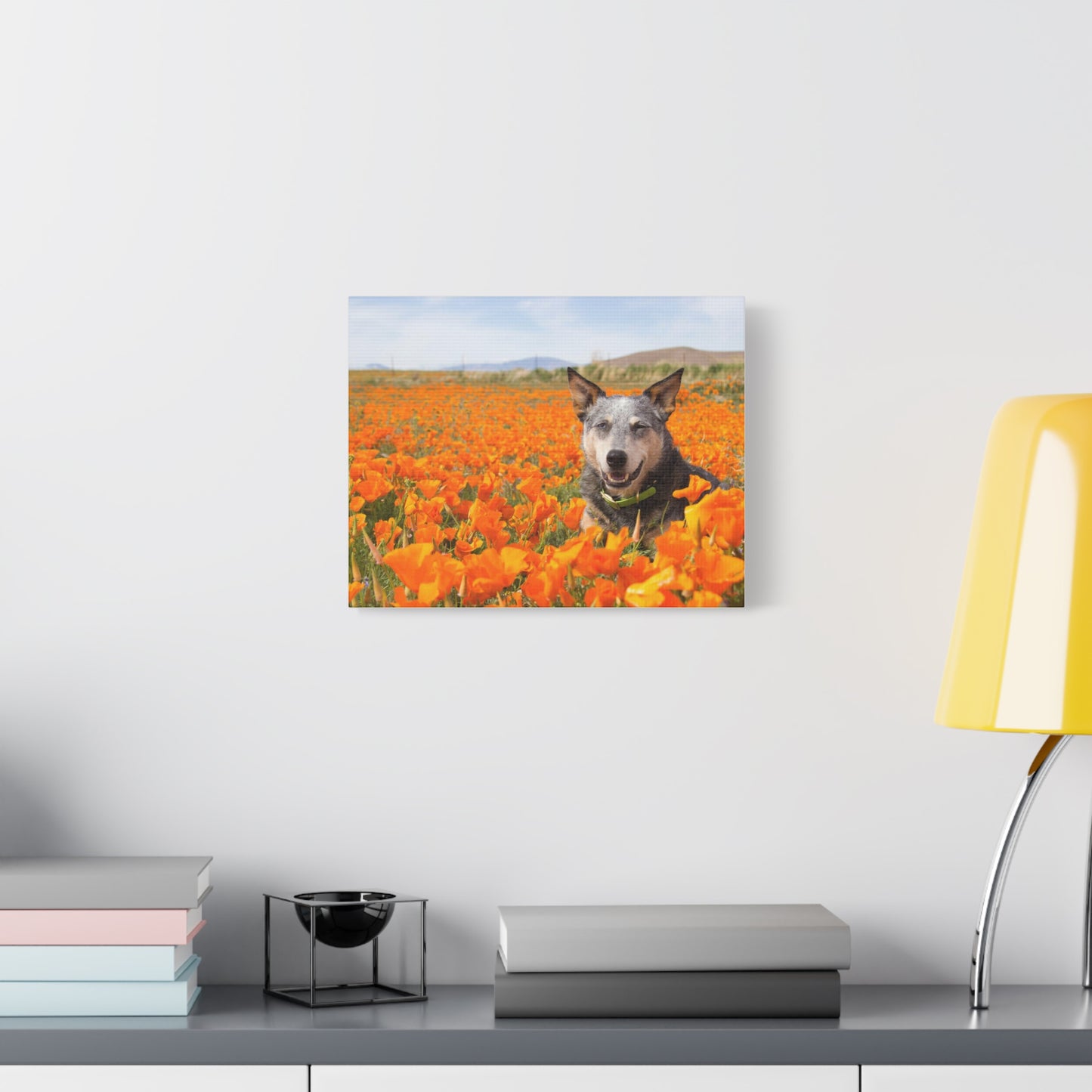 Australian Cattle Dog in Nature Poppy Field Matte Canvas