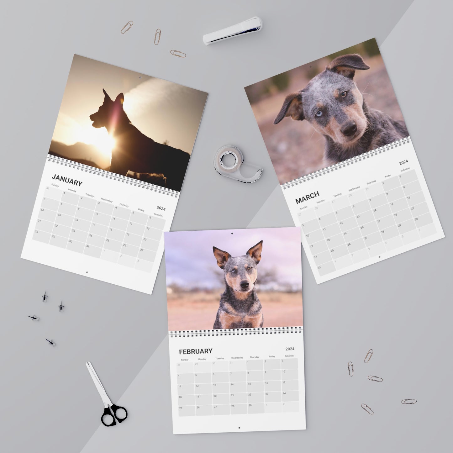 2024 Australian Cattle Dog Nature Annual Calendar: Organize, Plan, and Stay Ahead in Style