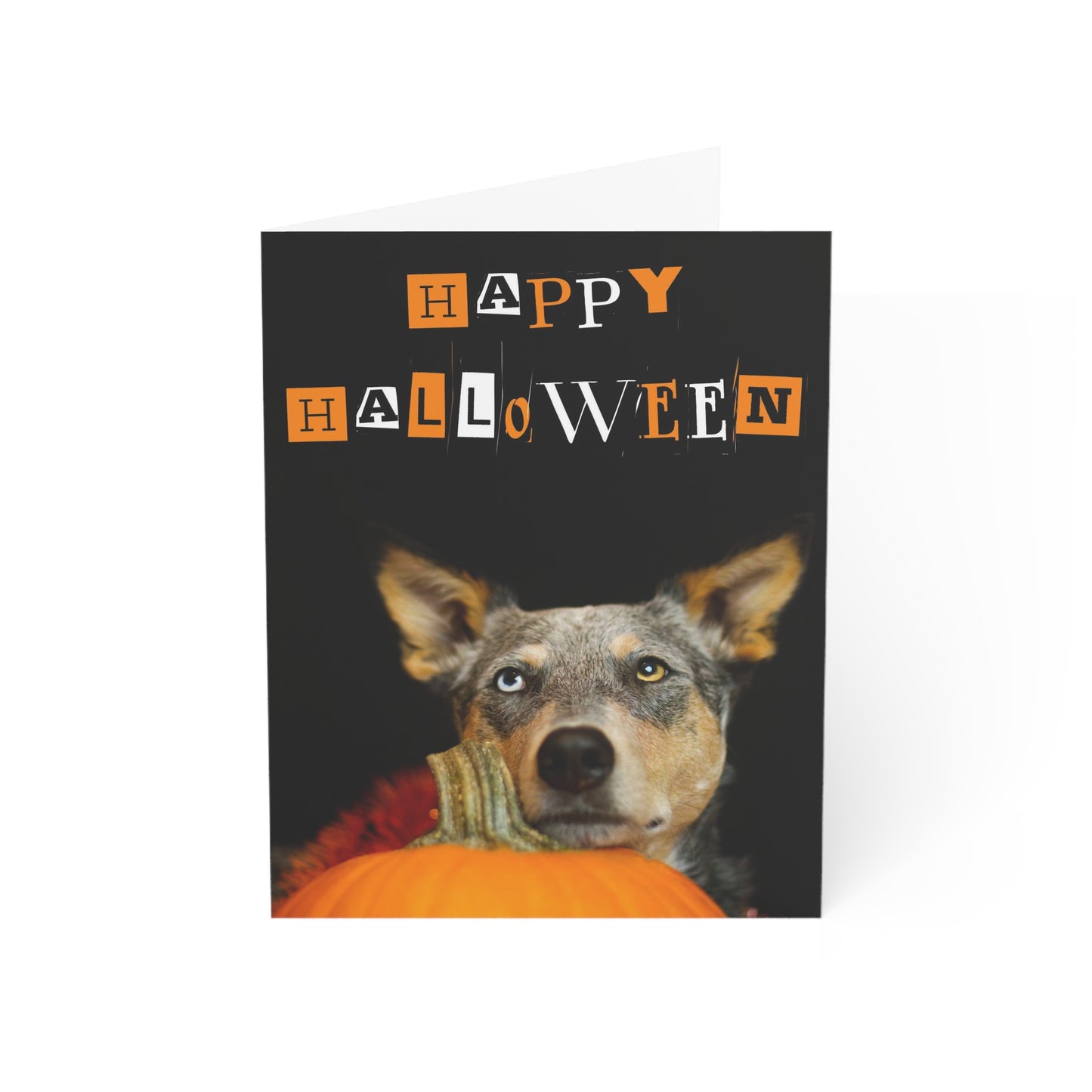 Spooky Heeler Wishes - Halloween Greeting Cards (1, 10, 30, and 50 pcs)