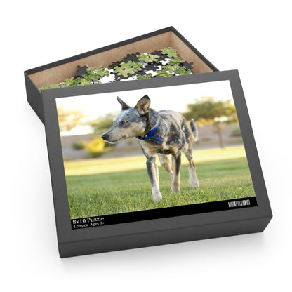 Australian Cattle Dog Puzzle (120, 252, 500-Piece)