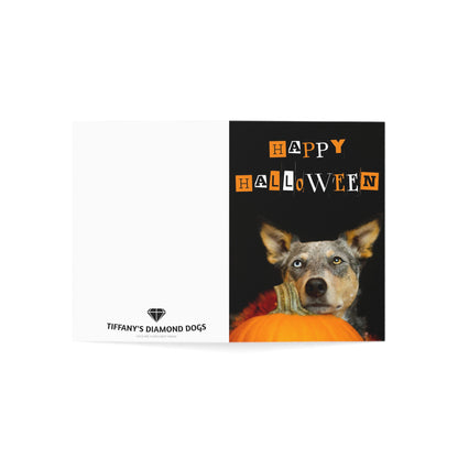 Spooky Heeler Wishes - Halloween Greeting Cards (1, 10, 30, and 50 pcs)