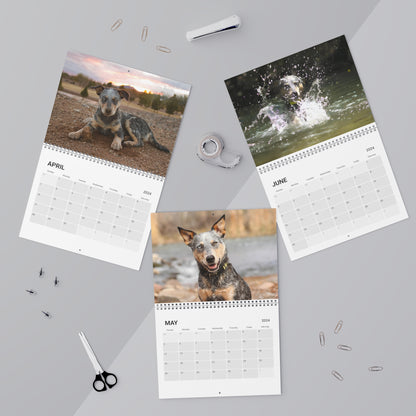 2024 Australian Cattle Dog Nature Annual Calendar: Organize, Plan, and Stay Ahead in Style
