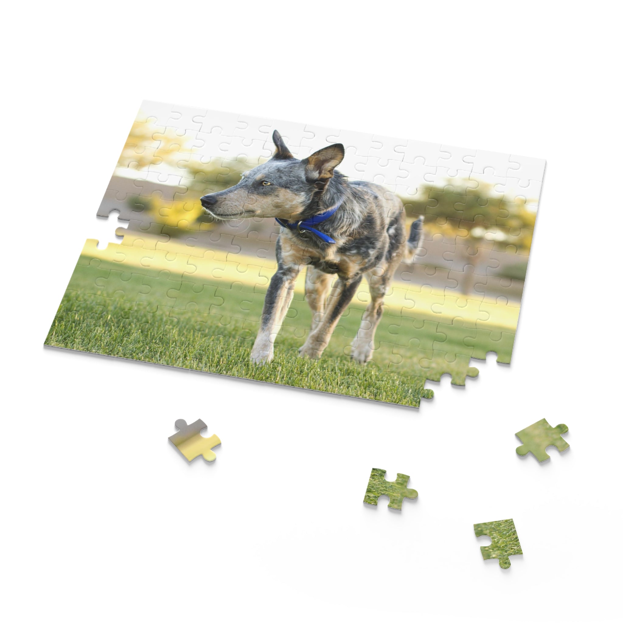Australian Cattle Dog Puzzle (120, 252, 500-Piece)