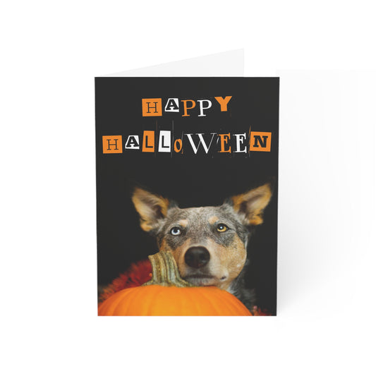 Spooky Heeler Wishes - Halloween Greeting Cards (1, 10, 30, and 50 pcs)