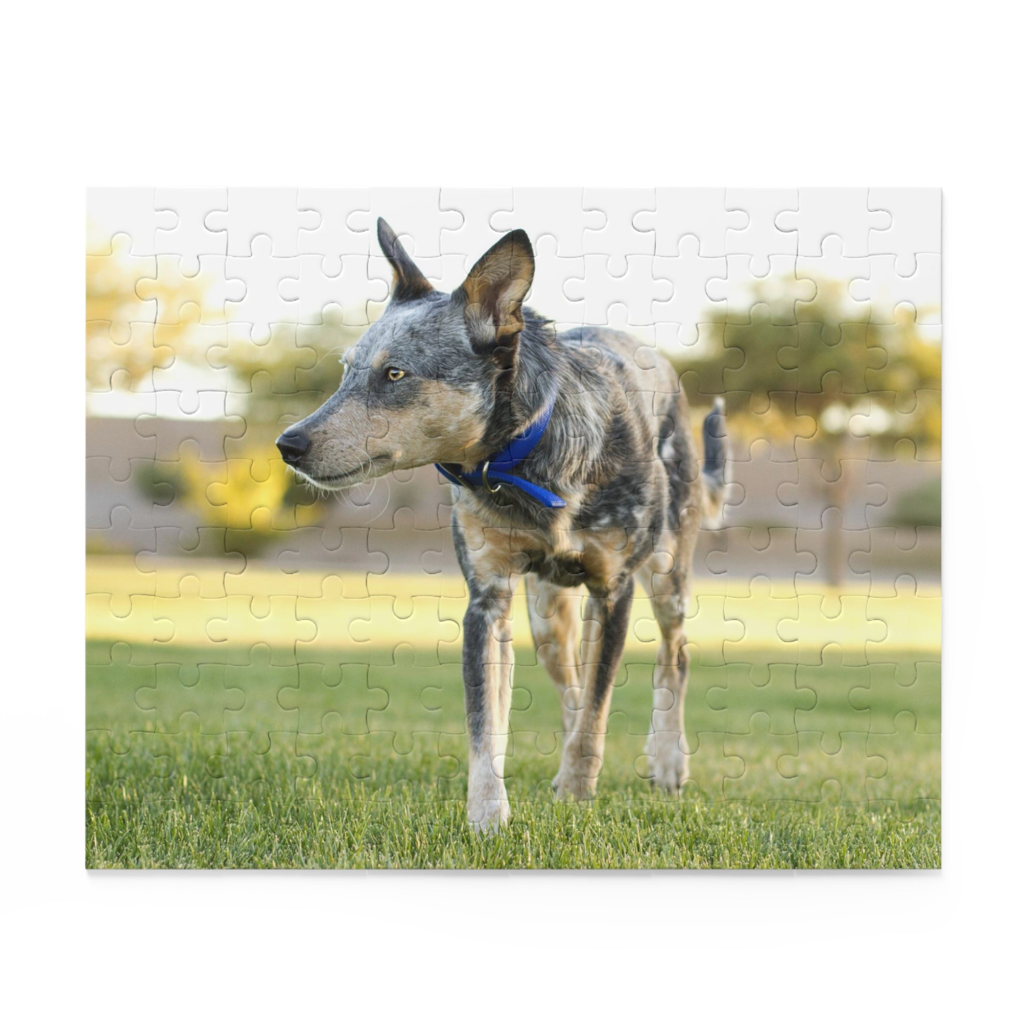 Australian Cattle Dog Puzzle (120, 252, 500-Piece)