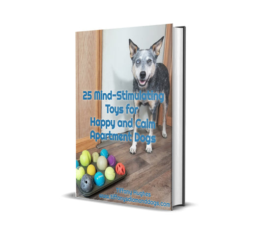 25 Mind Stimulating Toys for Happy and Calm Apartment Dogs E-book
