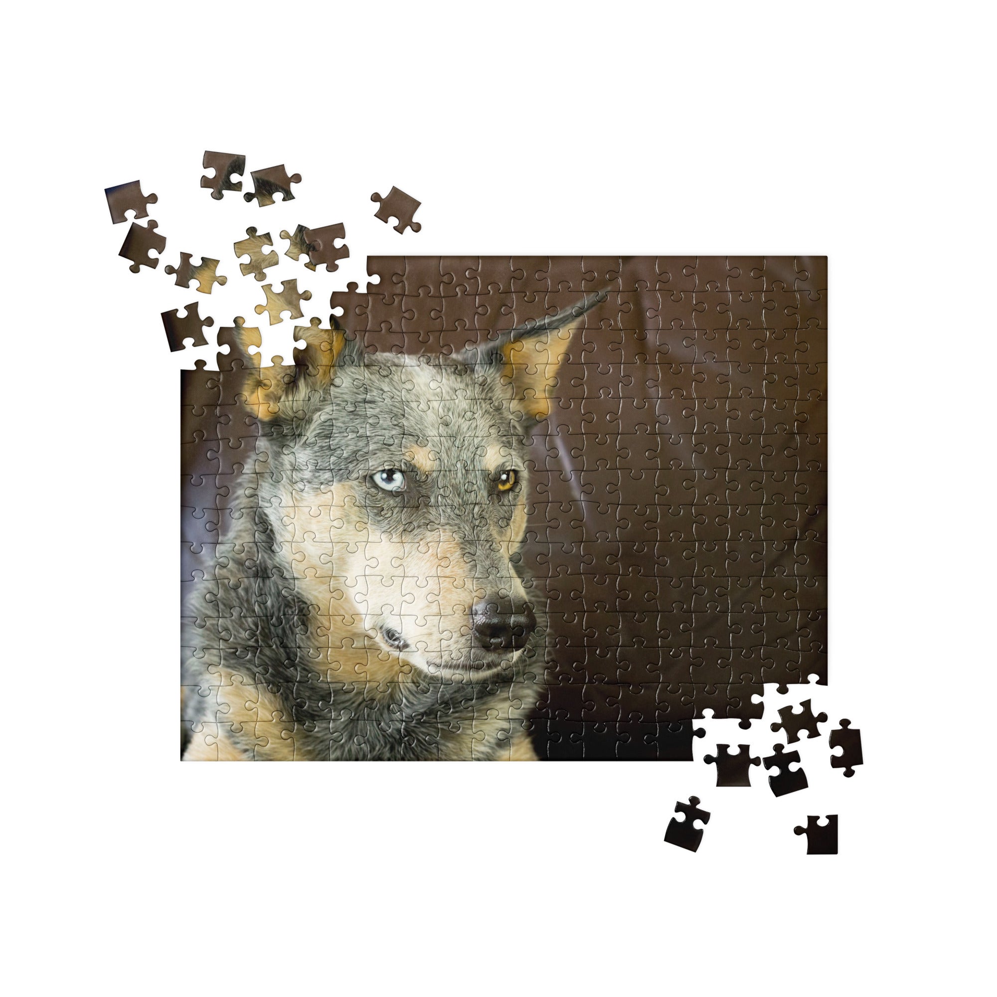 Australian Cattle Dog Jigsaw puzzle